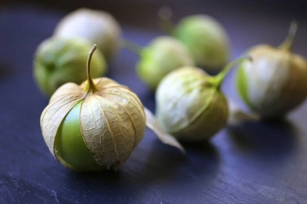 Roasted Tomatillo Salsa Verde