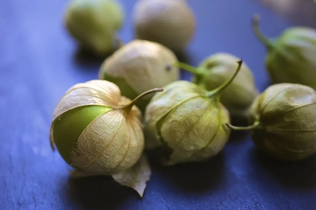 Roasted Tomatillo Salsa Verde