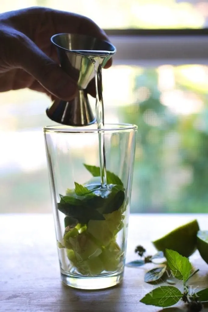 Cucumber and Mint Gimlet