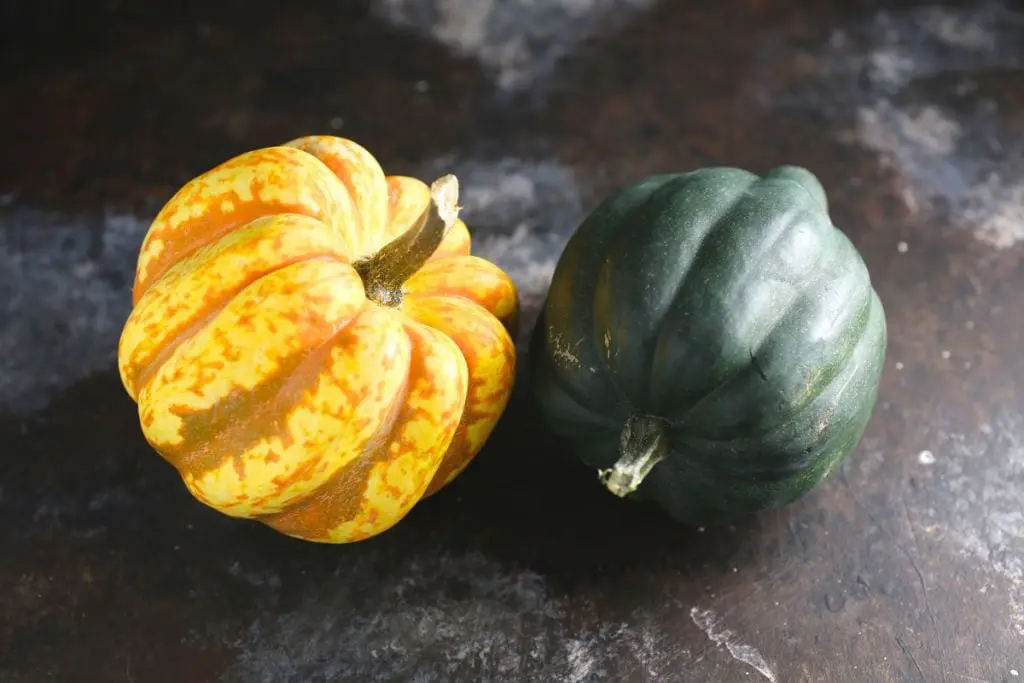 Acorn squash