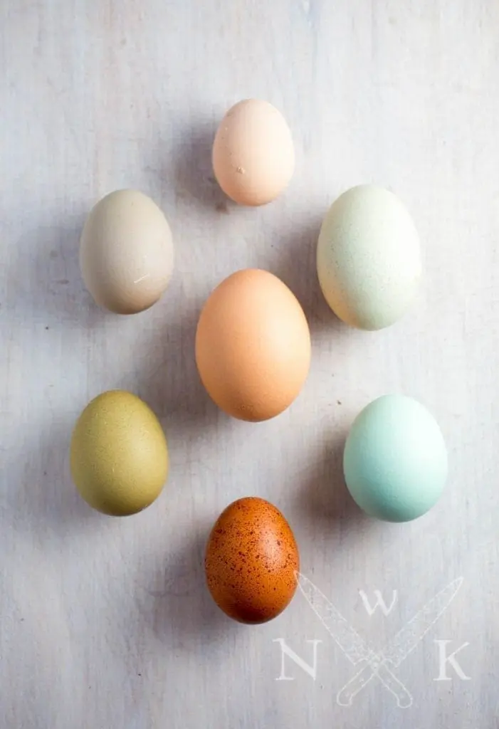 Beautiful Eggs