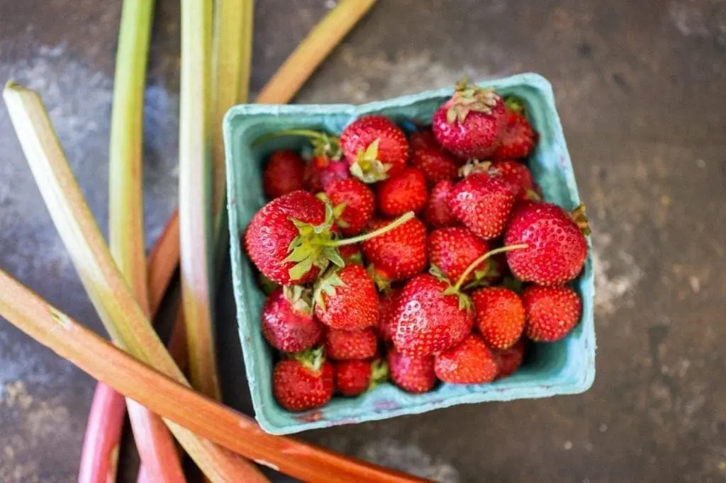 Strawberry Rhubarb Cheesecake