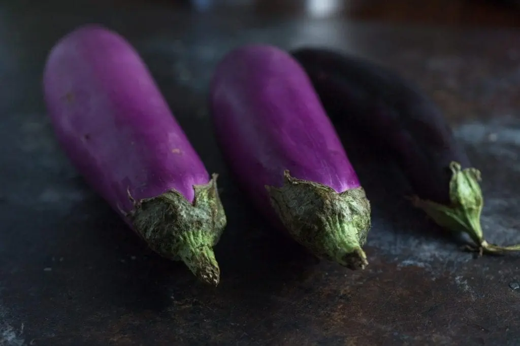 Eggplant varieties