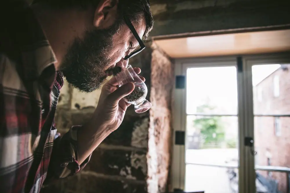 A man sniffing barley grains in a glass with a bright window in the background