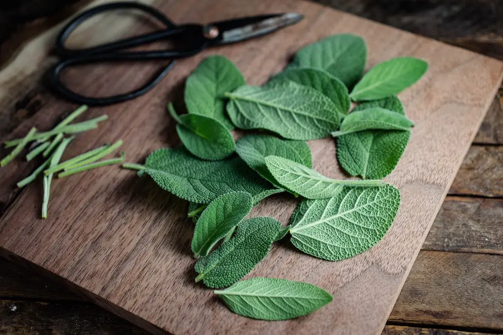 Sage leaves on a wood board