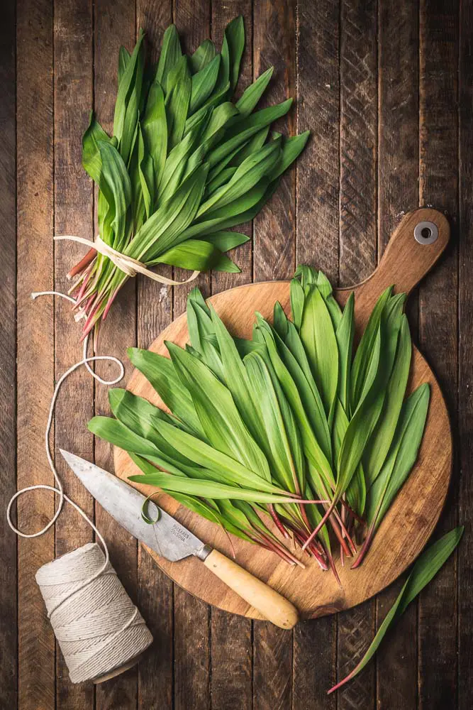 Ramps (wild garlic)