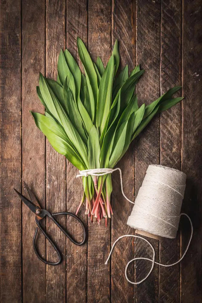 Ramps (wild garlic)