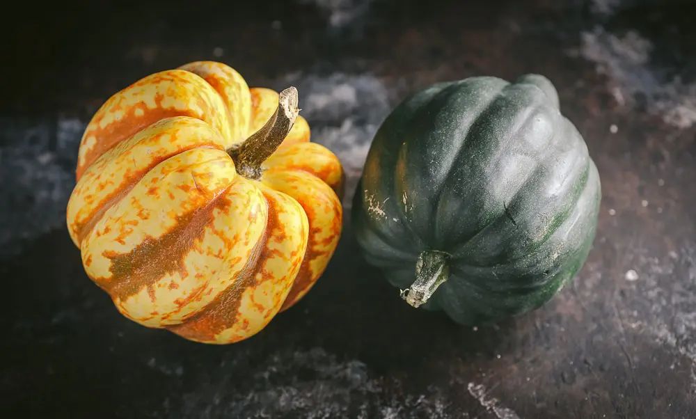 Acorn Squash