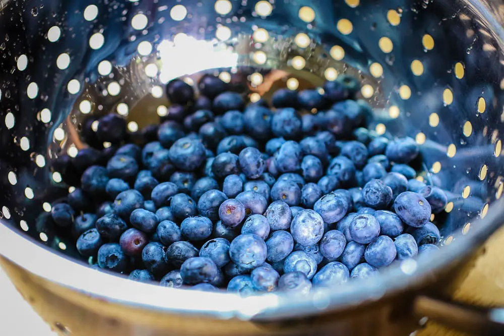 Blueberries