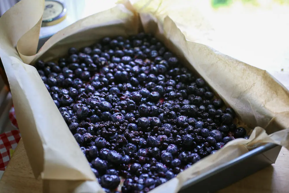 Blueberry, Oat and Almond Crumb Bars