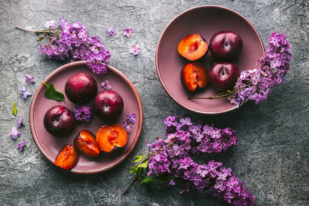 Plums and Lilacs 3