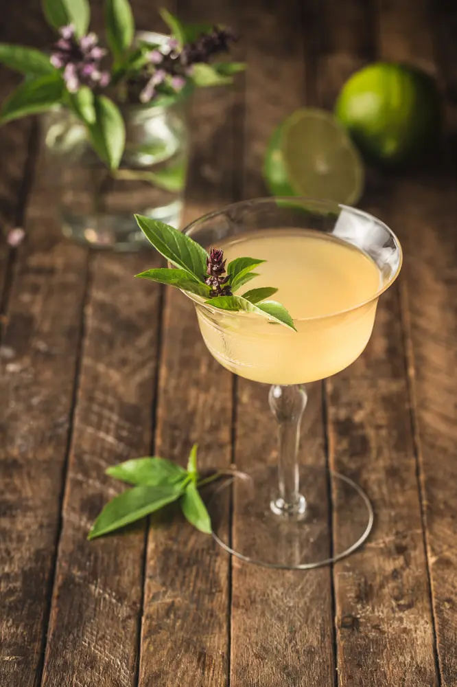 Thai Basil Gimlet