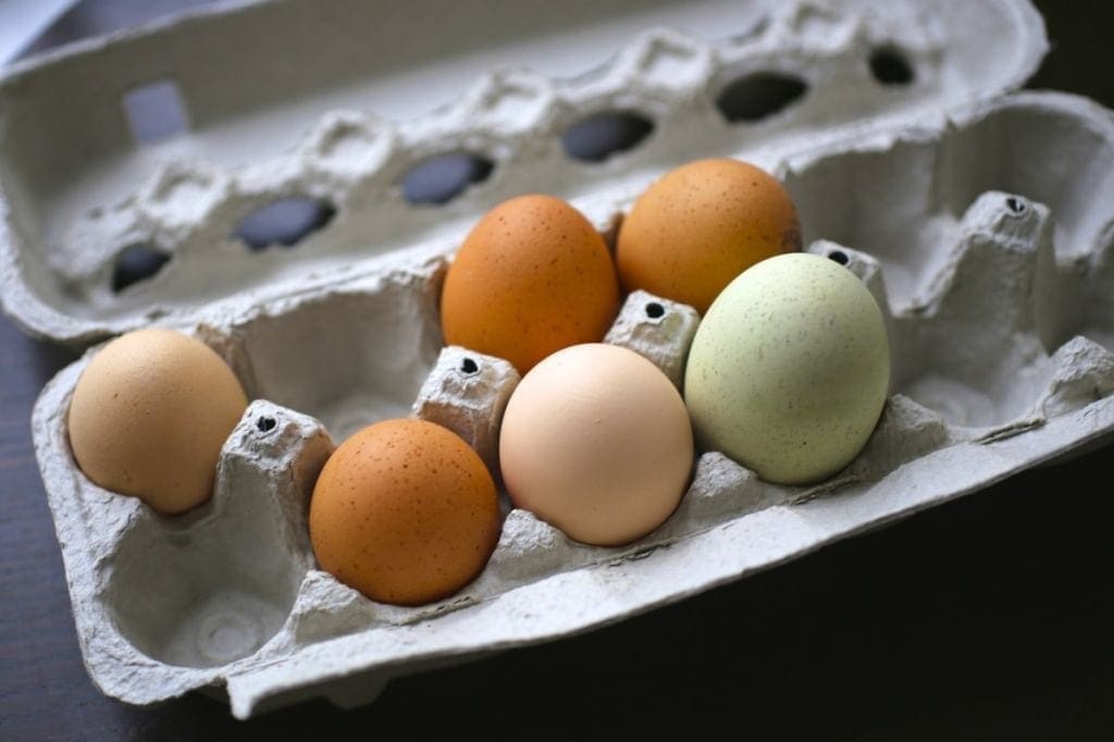 A carton of multicolored eggs