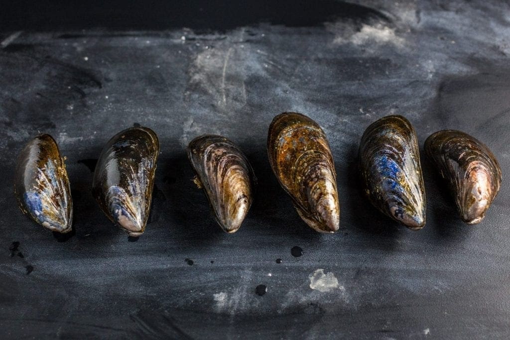 Fresh Mussels