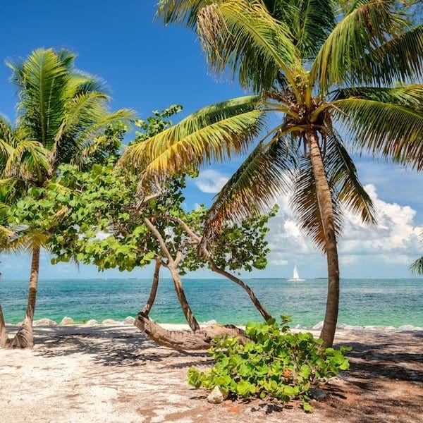 Grouper Fritters from the Florida Keys