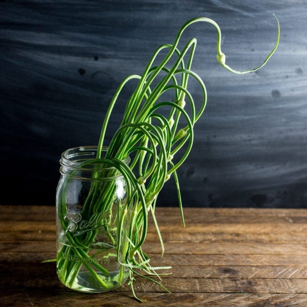 Garlic Scapes - a delicious by-product of growing hard-neck garlic