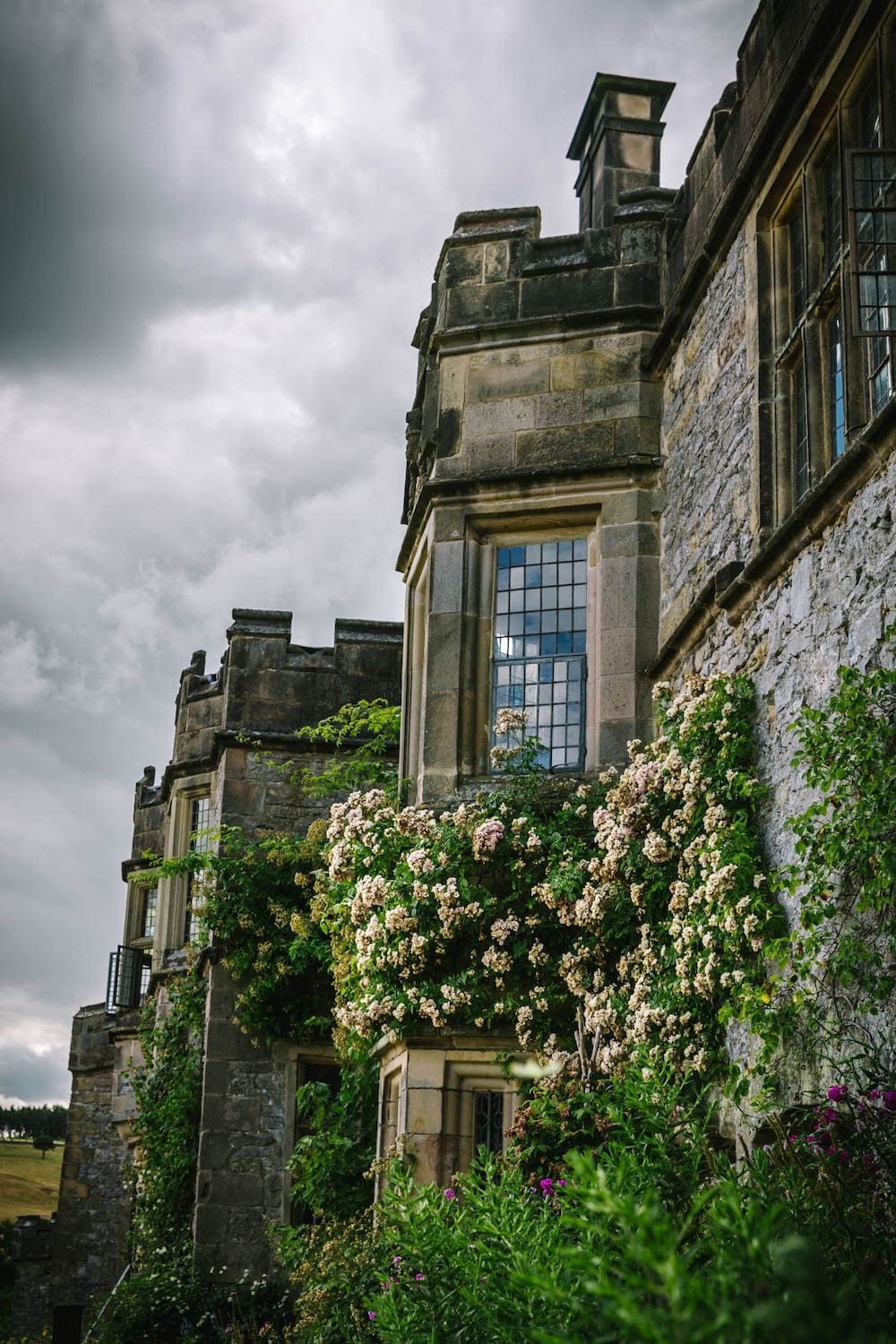 A grand buttressed English mansion with climbing roses