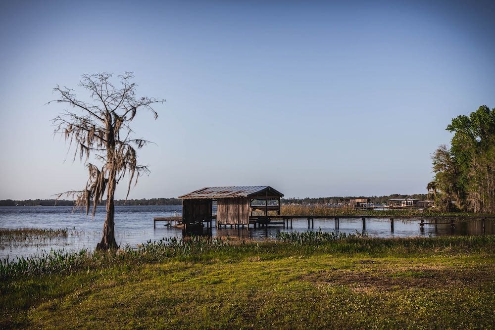 A swampy slope down into a lake with a pier and wooden boathouse, and a tree hanging with Spanish moss