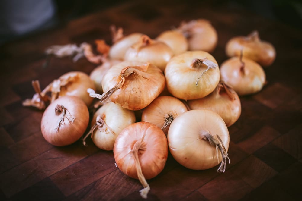 Cipollini Onions