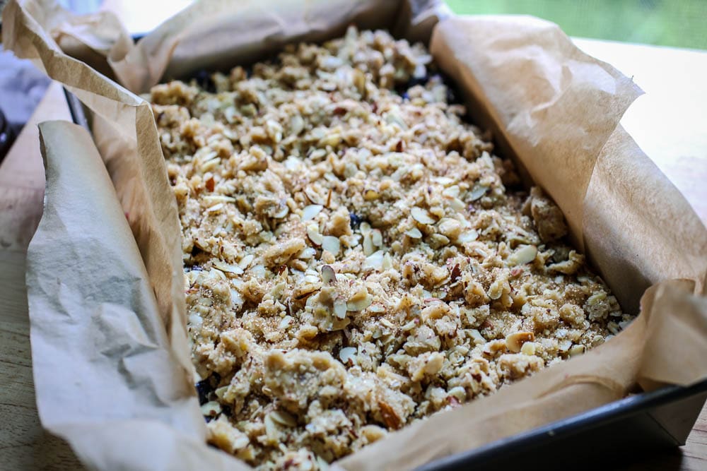 Blueberry, Oat and Almond Crumb Bars